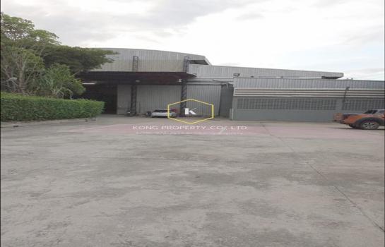 ������� �� Kong property