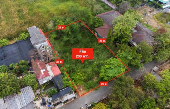 �����ҹ� �� ʹ�෾ ����÷ѵ