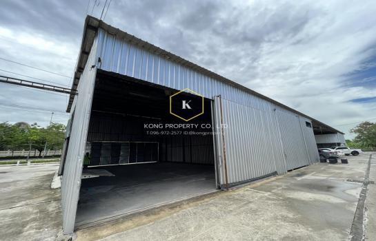 ����Ѳ�� �� Kong property