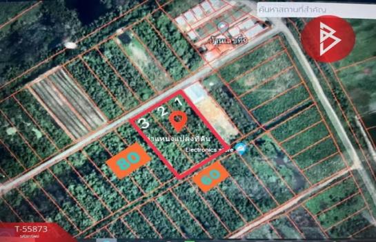 ���ԧ��� �� sopa