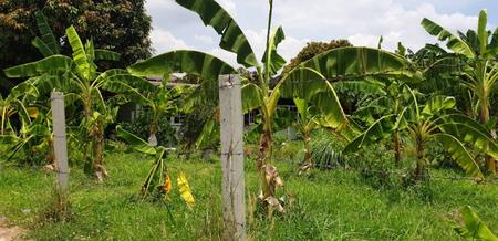 ����ѧ�ͧ��ҧ �� Support_Condo_I