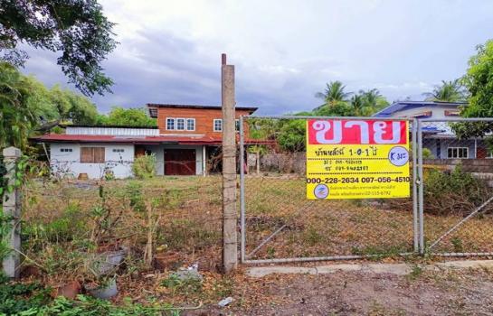 �ط�¸ҹ� �� zionasset1