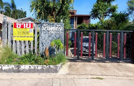 ��ҹ⾸�� �� zionasset1