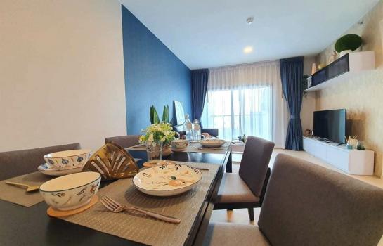 �ǹ��ǧ �� 99PROPERTY (Bangkok House