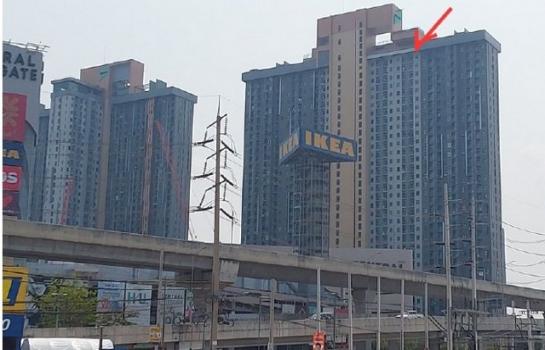 ��¹������ �� compos2566