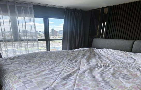 ��¤͹� Swimming 5,590,000 �ҷ