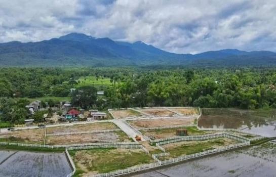 ������ �� northern1