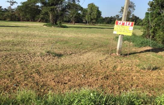 �ء����� �� zionasset1