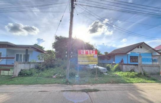 �͹�� �� zionasset1