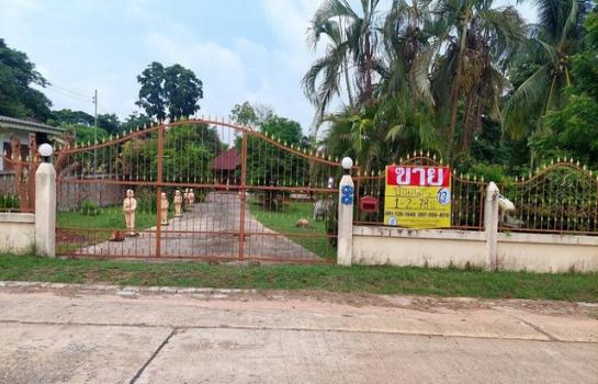 �شøҹ� �� zionasset1