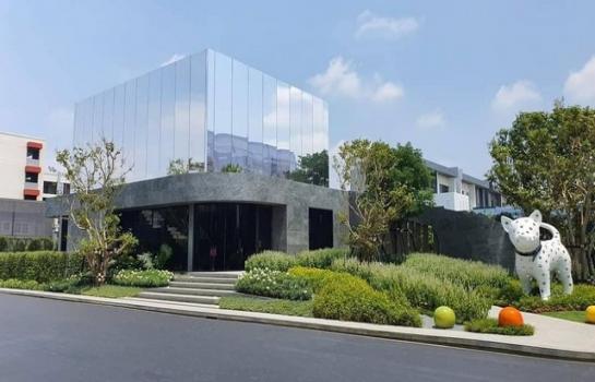 �ҧ�л� �� TONPL