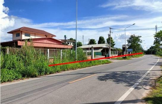 �����§���� �� panaya.opalopal