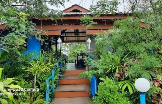 ������ �� tayapornaik1