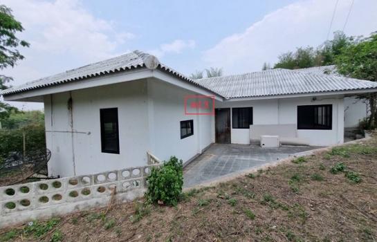 ��ҹ���ᵧ �� compos2566