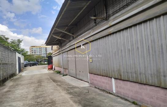 �ѹ����� �� Kong property