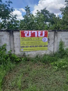 ����ӻҧ �� zionasset1