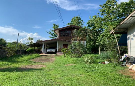 ��¹�ҹ �� zionasset1