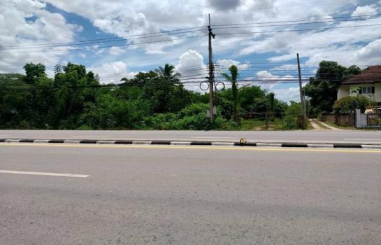 ����ӻҧ �� zionasset1