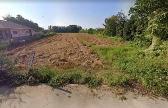 �ѹ��ᾧ �� onanong khumaphao