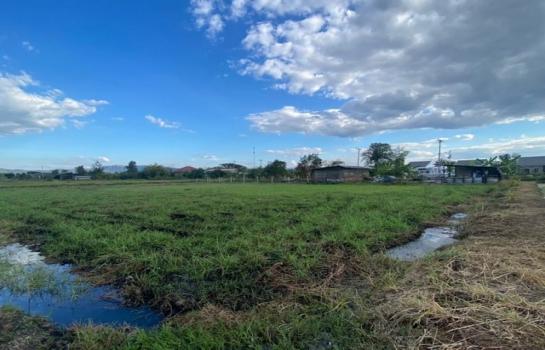 �ѹ��ᾧ �� northern1