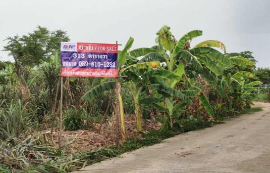 ��ا෾ �� Mapproperty