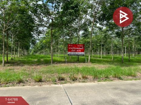 ���ͧ �� The Best Property Agent