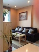 �͹� �Ҫ���