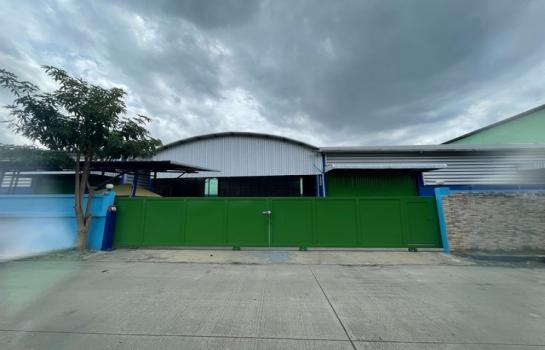 ������ �� asanghapl