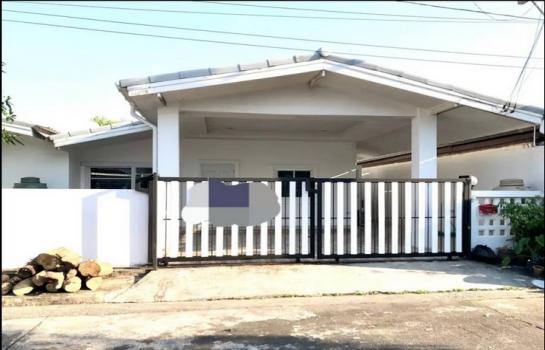 �оҹ�٧ �� asanghapl