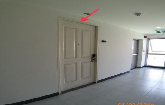 ��¤ѹ����� �� panaya.opalopal