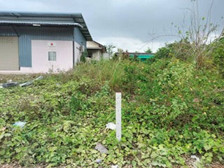 ที่ดิน pattaya ที่ดิน pattaya