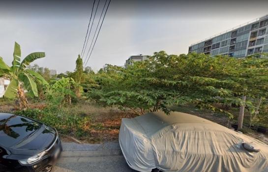 �Ҵ����� �� HarrisonTH