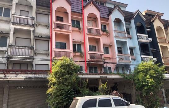 ��´͹���ͧ �� panaya.opalopal