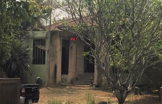 �ѹ��ᾧ �� compos2566