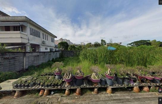 �չ���� �� �����¹��� ���˹����ѧ�������Ѿ��