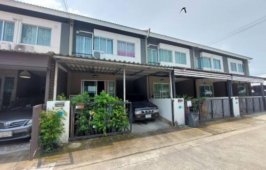 ˹ͧ�͡ �� �����¹��� ���˹����ѧ�������Ѿ��