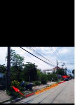 ���⡴ѧ ������