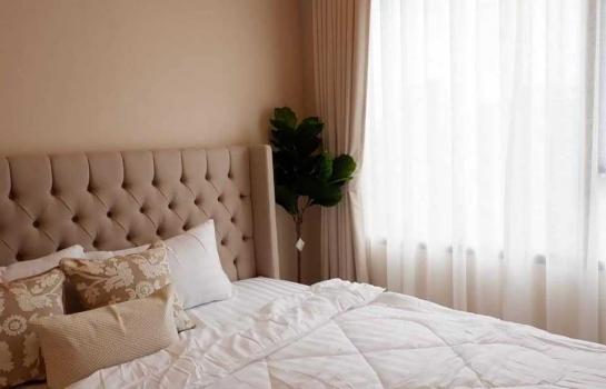 ���ͧ �� M Property