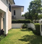 ��� ��������Һ�ҹ �ҧ�˭�