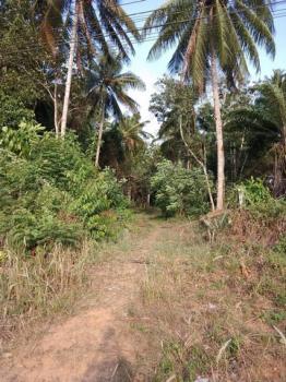 ��ª���� �� zionasset1