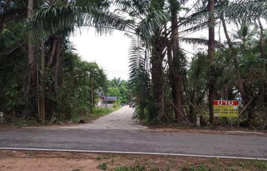 ��ª���� �� zionasset1