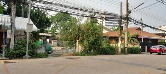 �ԧ �� tayapornaik1