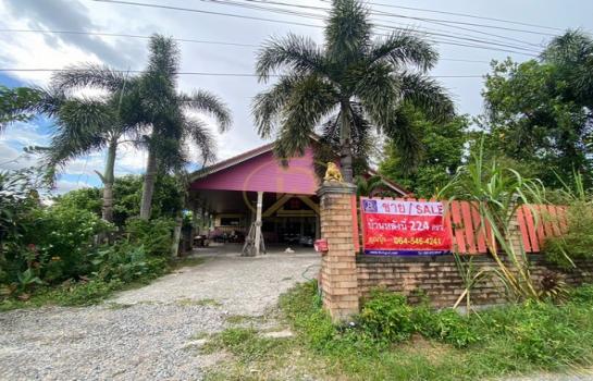 ��ªź��� �� livingd949