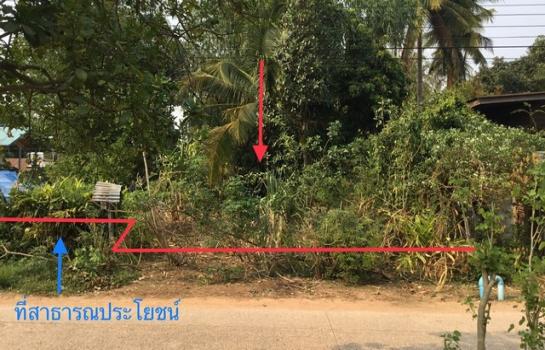 ���˹ͧ������� �� compos2566