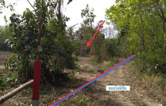 ���ʡŹ�� �� compos2566