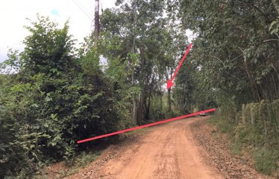 ���ʡŹ�� �� panaya.opalopal