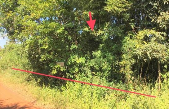 ���ʡŹ�� �� compos2566