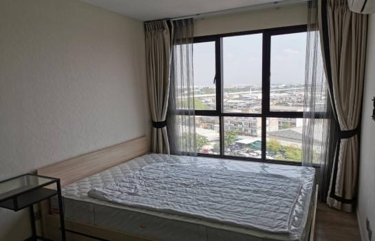 ���ͧ �� M Property