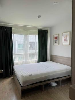 �ҧࢹ �� M Property