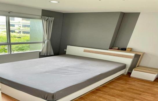 ������� �� M Property